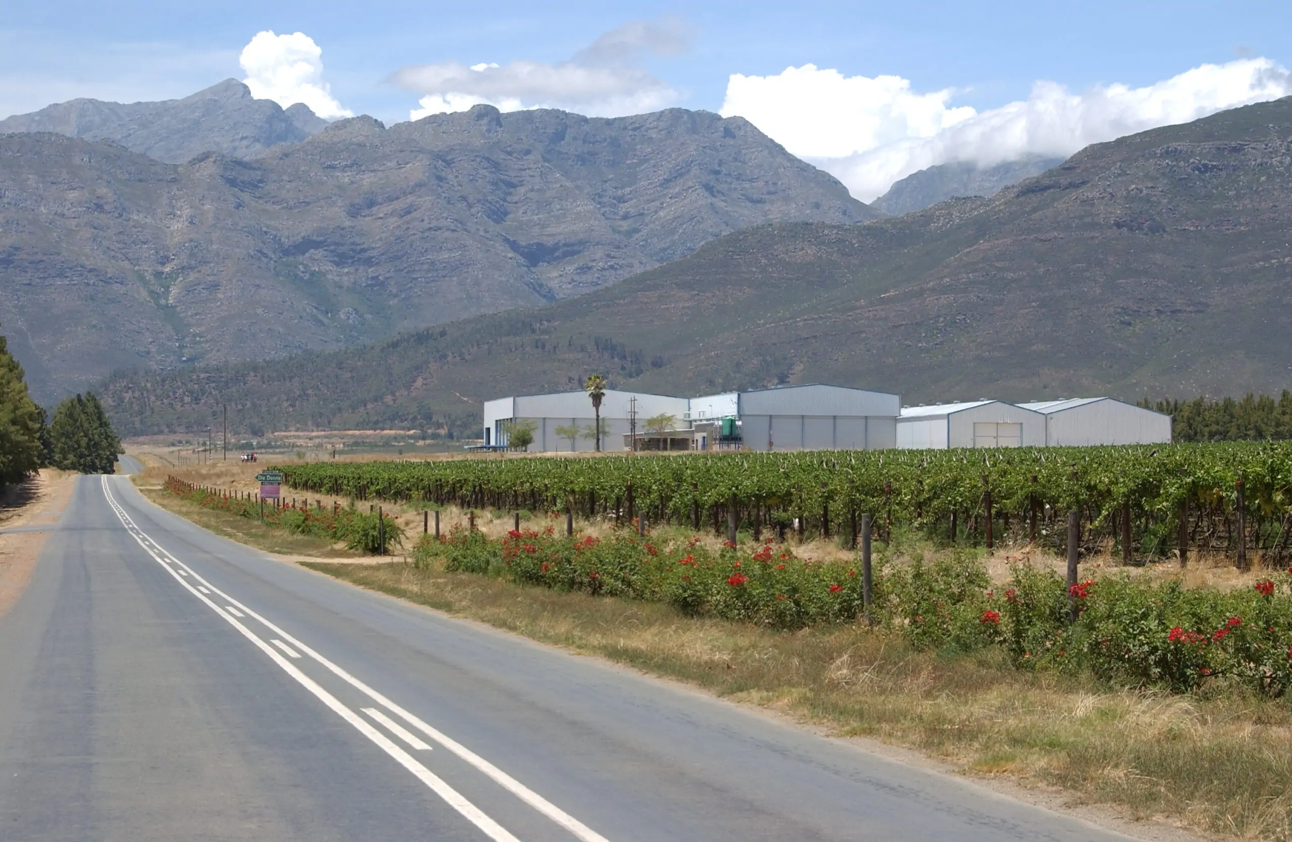 2006-New-Packhouse-South-Africa
