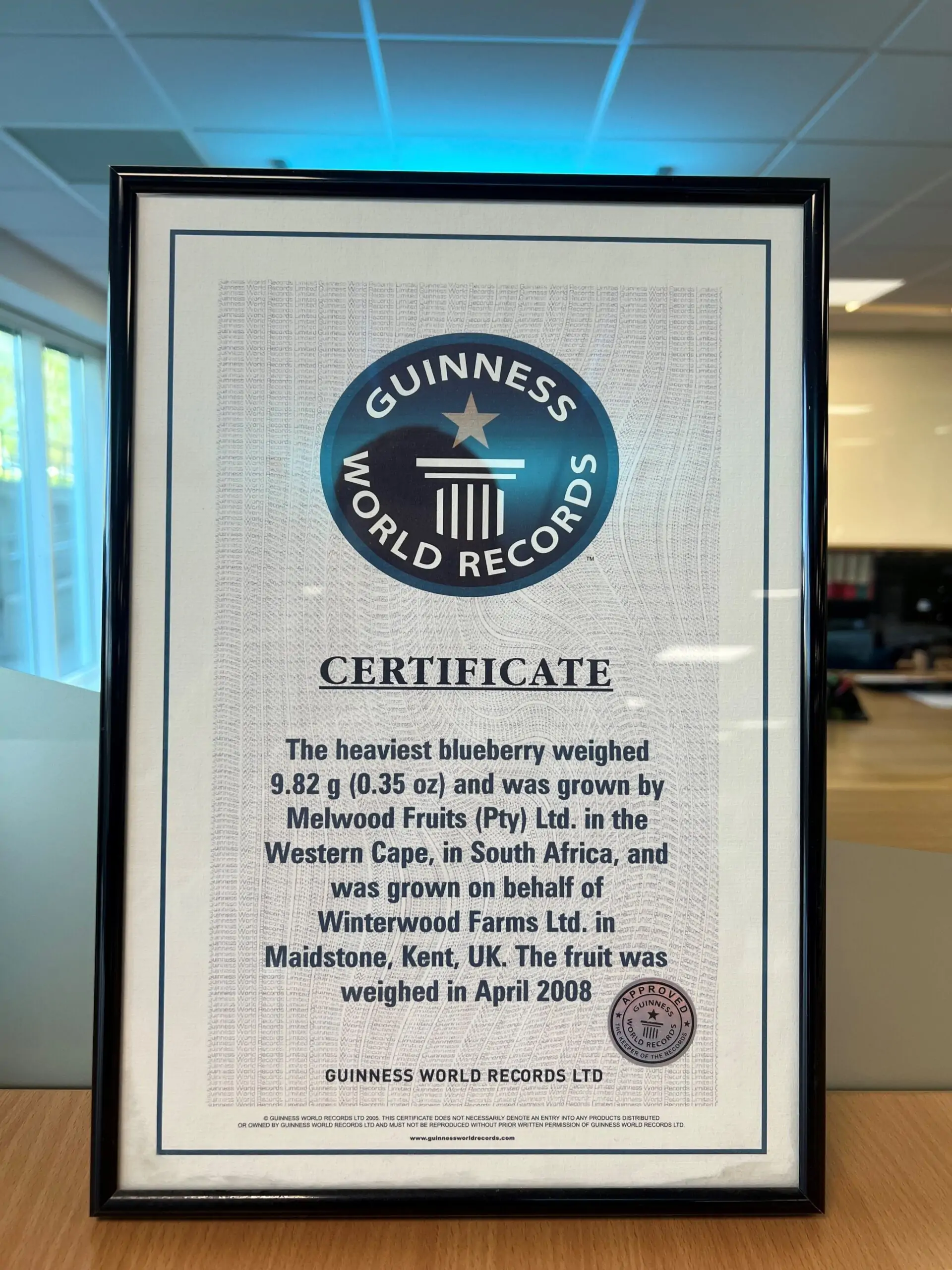 2008 Guinness Book Of Records (South Africa)
