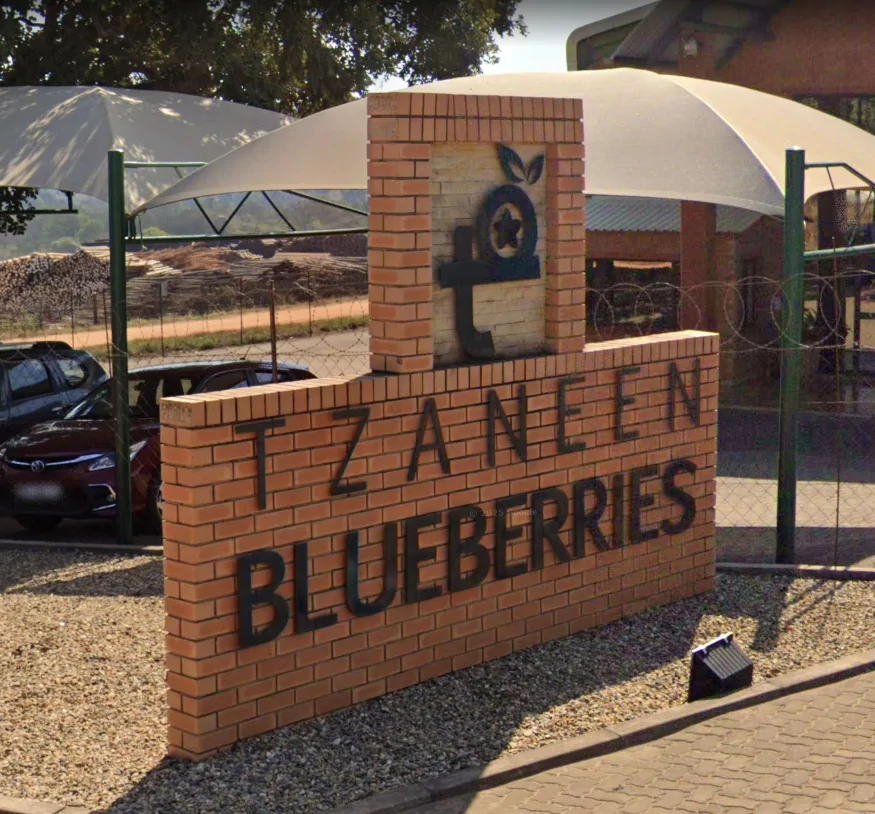 2013 New Farm Project (South Africa)