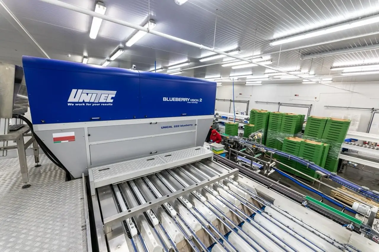 2019 Optical Graders (Poland)